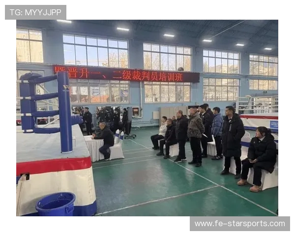 国际拳击联盟在裁判培训中强化伤情判定与保护意识，拳击裁判术语